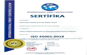 ISO 45001:2018